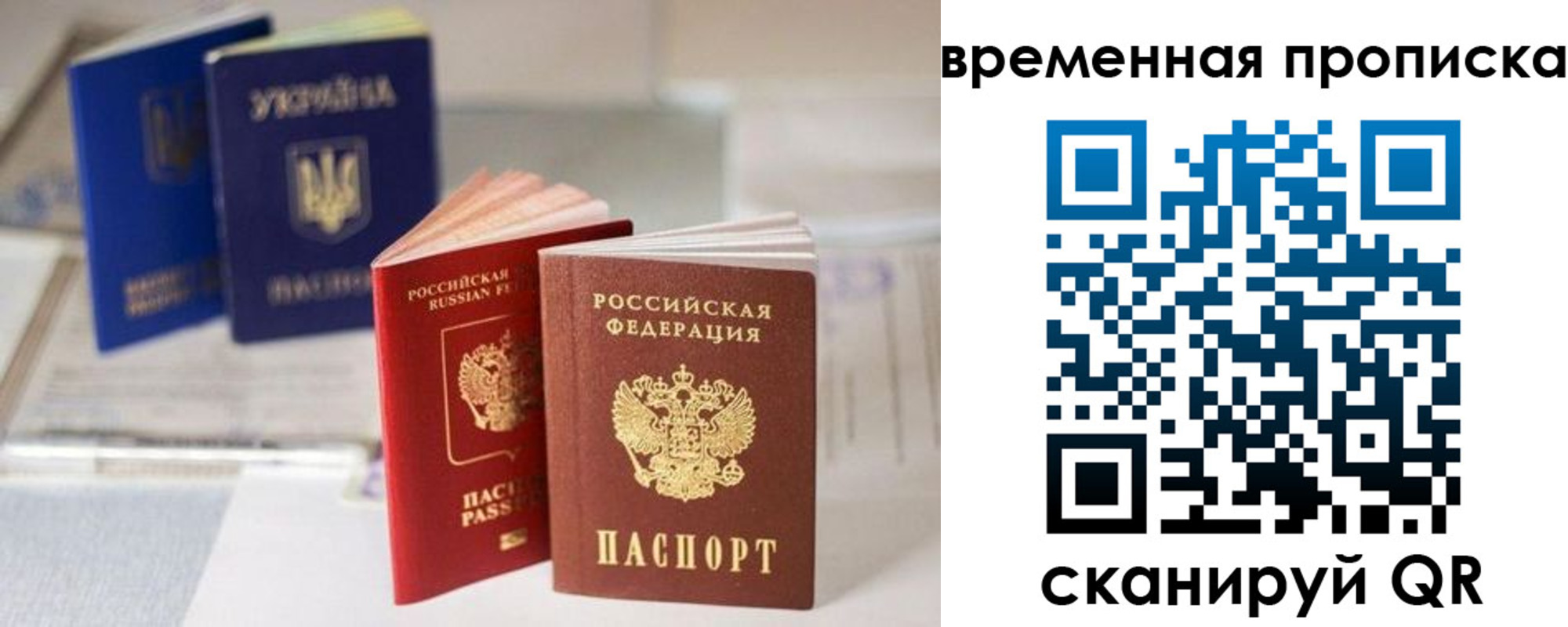 найти адрес прописки в Кингисеппе